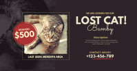 Brown Lost Cat Facebook Shared Image template