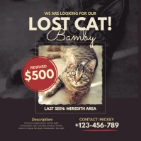 Brown Lost Cat Instagram Post template