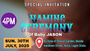 Brown Maximalist Baby Naming Ceremony Youtube Thumbnail YouTube-miniature template