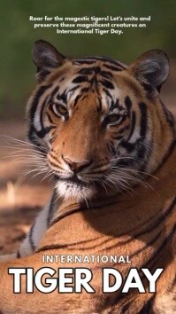 Brown Maximalist International Tiger Day Instagram Reel template