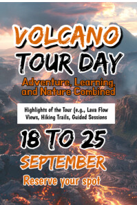 Brown Maximalist Volcano Tour Day Poster template