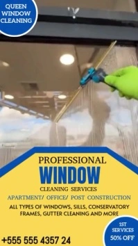 Brown Maximalist Window Cleaning  Instagram Reel template