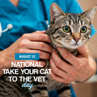 Brown Modern & Minimal National Take Your Cat To The Vet Day Instagram Post Instagram-opslag template