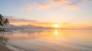 Brown Modern & Minimal Sunset Beach Scene Digital Display Ekran reklamowy (16:9) template