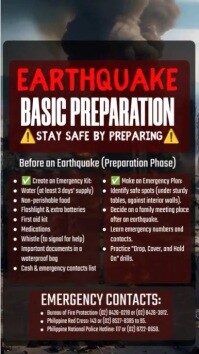 Brown Professional Earthquake  Instagram Reel template