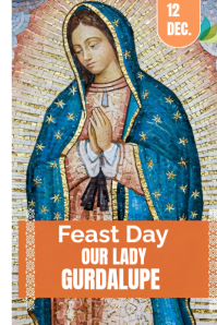 Brown Professional Feast Of Lady Gurdalupe Pinterest Graphic template