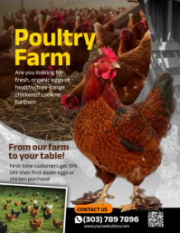 Brun Poultry Farm Promotion Volante Template