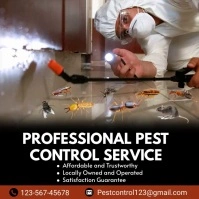Brown Professional Professional Pest Control Publicação no Instagram template