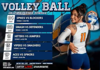 Brown Professional volleyball league schedule A4 Video template