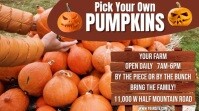 Brown  Pumpkin Farm Video Ad Digital Display (16:9) template
