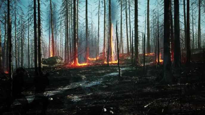 Burning Forest Fire Template PosterMyWall