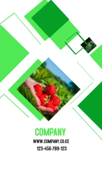 business bronchure template