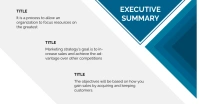 BUSINESS PLAN  PRESENTATION SLIDE 2 template