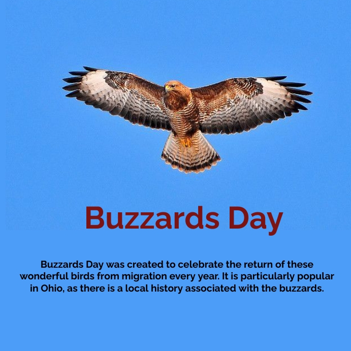 Buzzard Day 2025