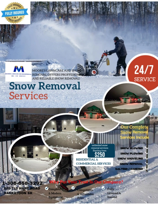 Snow Removal Flyer template