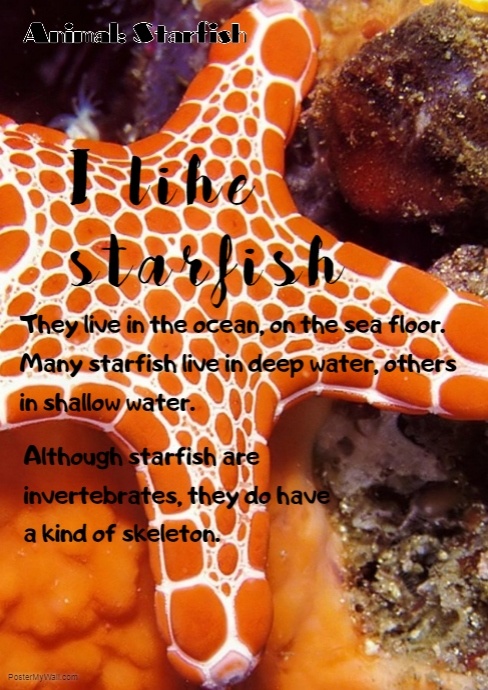 Starfish