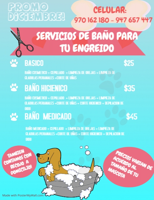 Copia De Dog Grooming Flyer PosterMyWall copia-de-dog-grooming-flyer-postermywall