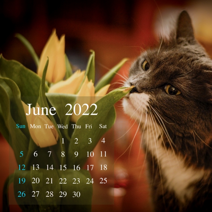 Spring Calender May Calendar May spring Template | PosterMyWall