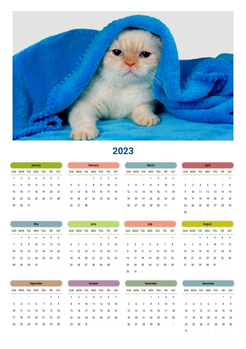 Calendar template 2023 pet, cat A2