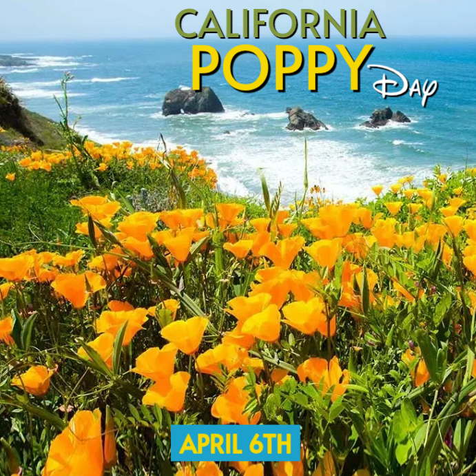 California Poppy Day Template | PosterMyWall
