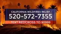 California Wildfires Relief Display Template Цифровой дисплей (16 : 9)