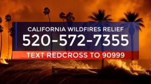 California Wildfires Relief Display Template Affichage numérique (16:9)