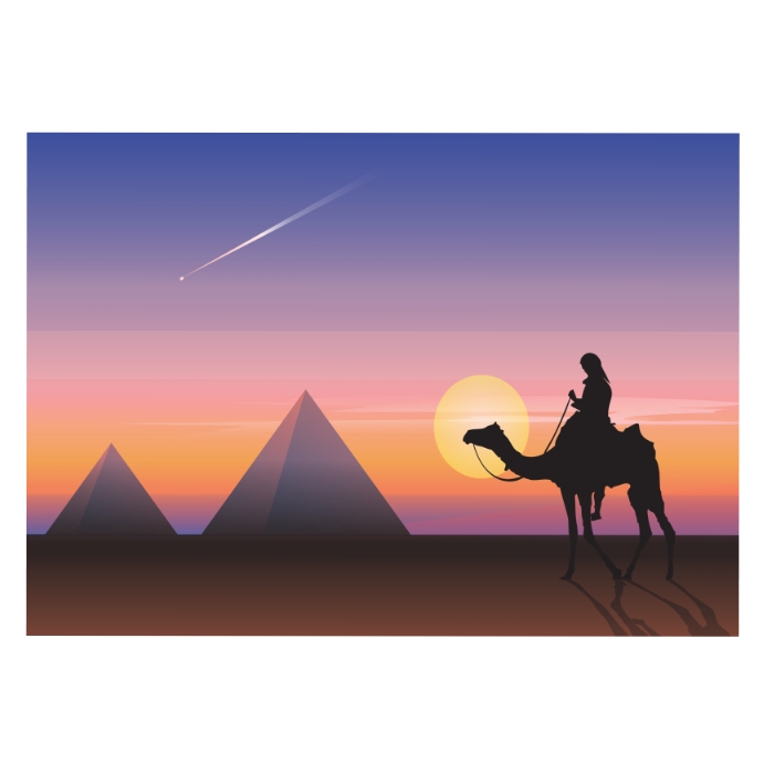 Kamel Layout Camel Template | PosterMyWall