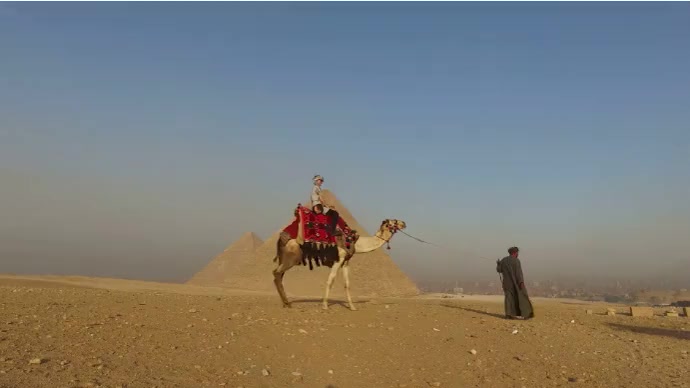 Camel Riding Covers Camel Riding Template | PosterMyWall