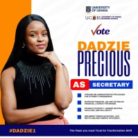 Campaign, Election Flyer Instagram Post template