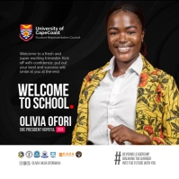 Campaign Flyer Instagram na Post template