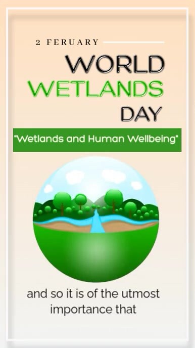 World Wetlands Day Instagram Story template
