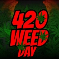 Cannabis weed Logo template