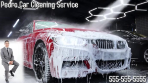 Sort Car Cleaning Service Digitalt display Template