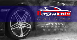 紫色 Car Wash and Detailing Facebook-annonce Template