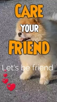 Care Pet Instagram-Reel template