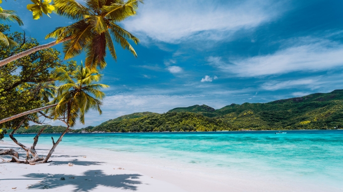 Caribbean Beach - Zoom Background Templates Презентация (16 : 9)