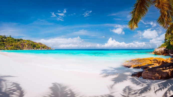 Copy of Caribbean Beach - Zoom Background Templates | PosterMyWall