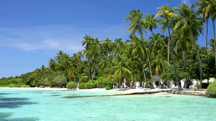 Caribbean Beach Zoom Virtual Background Video Presentatie (16:9) template