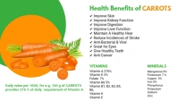 Carrot Facts Infographic Blog Header template