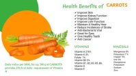 Carrot Facts Infographic Twitter post template