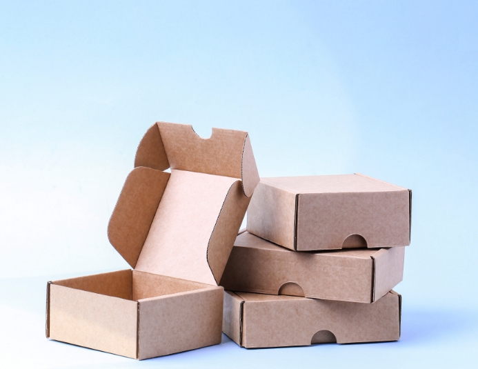 Copy of Carton boxes for branding | PosterMyWall
