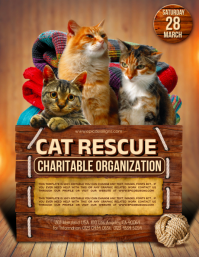 Cat | Pet Rescue Flyer | Social Media Post template