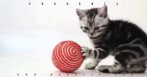 Wit Pet Promotion Obraz udostępniany na Facebooku Template
