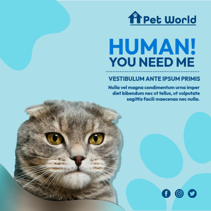 Advertisement Examples Adoption Cat Adoption Ad Examples at Stephanie Clunie blog