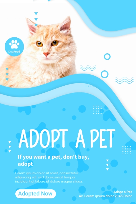 Cat Adoption Ads Template | PosterMyWall