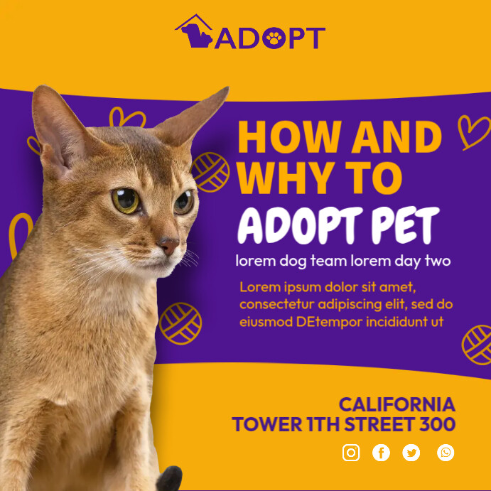 Cat Adoption Ads Template | PosterMyWall