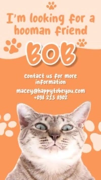 Cat Adoption Instagram Story template