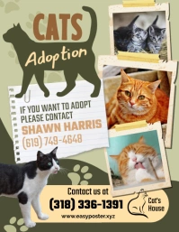 Cat Adoption Flyer template