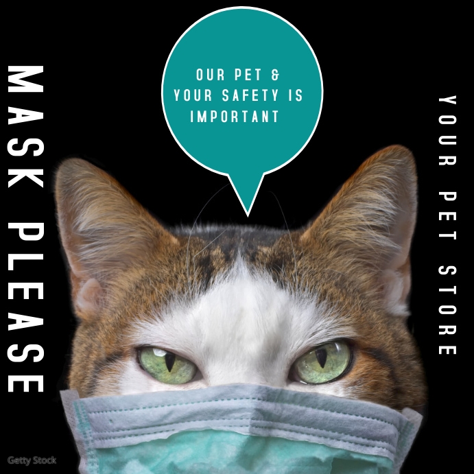 Modele Chat Adoption Animalerie Masque Facial Covid Postermywall Modele Chat Adoption Animalerie Masque Facial Covid Postermywall