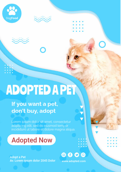 Cat Ads Template | PosterMyWall